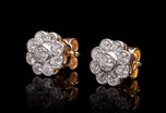 A pair of charming Auricula floral diamond cluster earrings