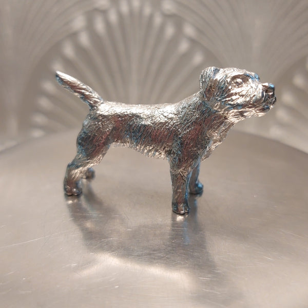 A silver westie dog