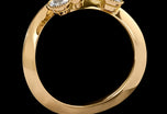 A diamond triple trefoil entwined cluster ring