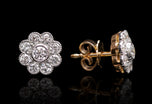 A pair of charming Auricula floral diamond cluster earrings