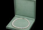 A Magnificent cultured South Sea Pearl Necklet.