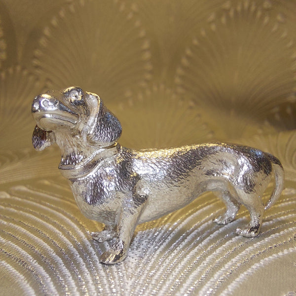 A silver Dachshund Dog