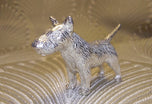 A silver English Bull Terrier Dog