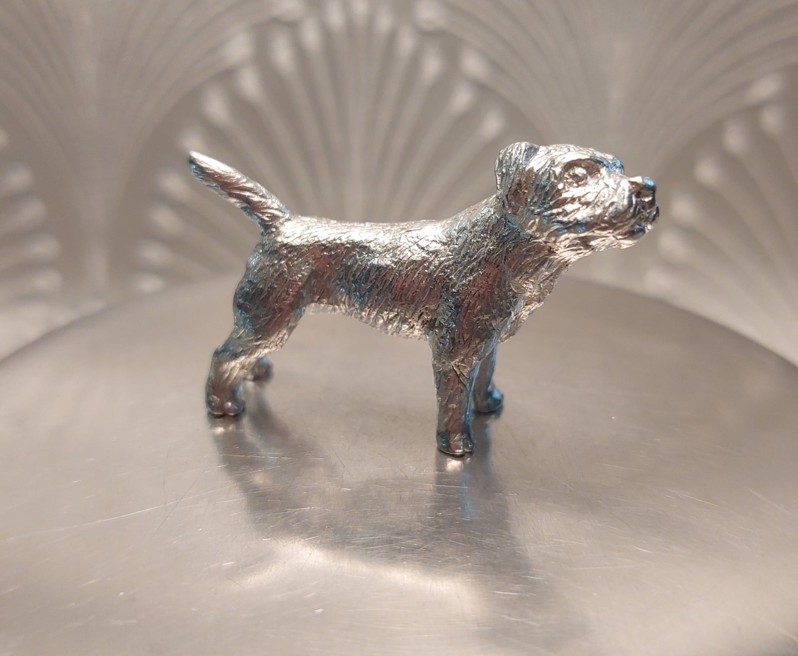 A silver westie dog